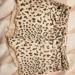 Women's kancan shorts